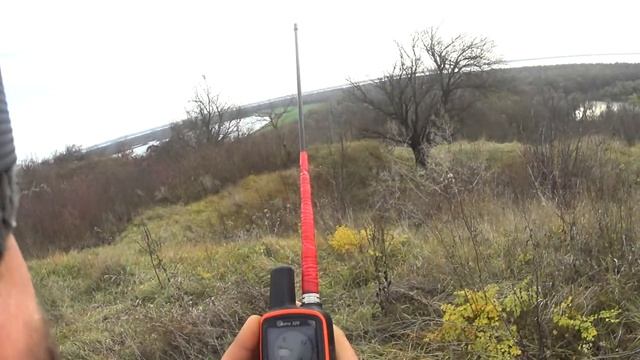 после зайца подняли шакала смотреть онлайн