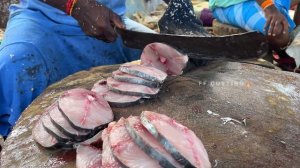 KASIMEDU 🔥 80KG BIG TUNA FISH HEAD CUTTING | 4K VIDEO | IN KASIMEDU | FF CUTTING 🐬🔪🦈