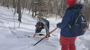 Зимние маршрутные учёты 2025