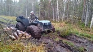 Утопили каракат