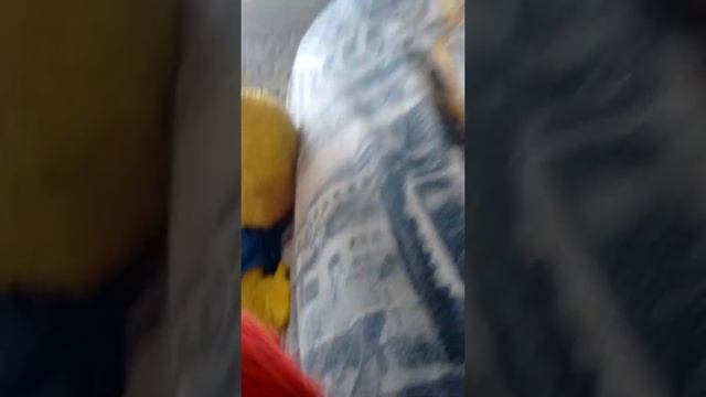 Big bird and Elmo sing смотреть онлайн