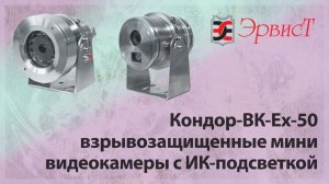 КОНДОР-ВК-Ex-50-Н (исполнения 1 и 2) - мини видеокамеры с ИК-подсветкой взрывозащищенные