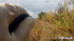 Металлокоп.Литые находки.Изменения в приëме металлолома😱