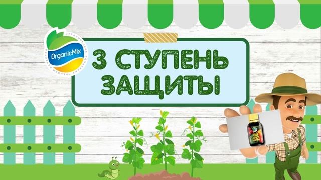 СПАСИ рассаду огурцов от насекомых-вредителей