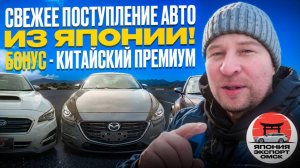 Новое поступление авто из Японии. Честные цены, без скрытых комиссий!