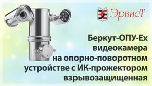 БЕРКУТ-ОПУ-Ex - видеокамера на опорно-поворотном устройстве с ИК-прожектором взрывозащищенная