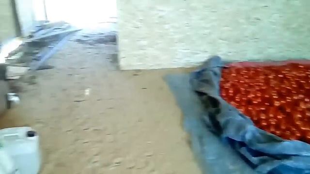 Начало массового сбора томата на новых теплицах. смотреть онлайн