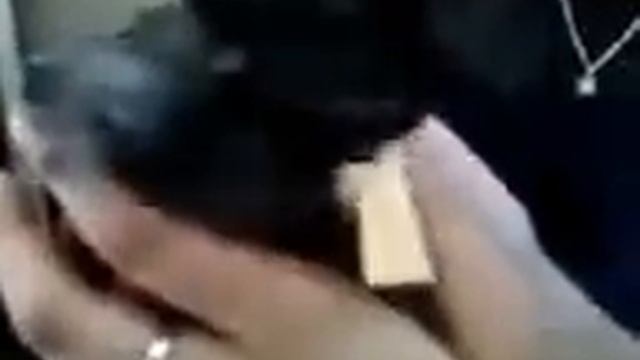 Хомяк обжора смотреть онлайн