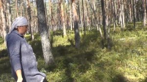 Жизнь в деревне /поездка за черникой \тайное болото\дела по хозяйству