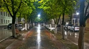 Олег Колычев - (Улица N) - 1990г.