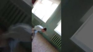 ты трансляция