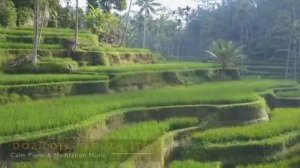 Сура 48 Победа