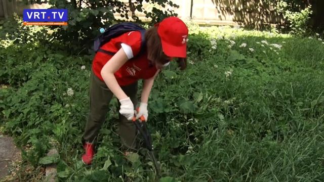Правильная инициатива! Стартовала вторая смена Трудовых отрядов Главы