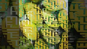 Mango of Vietnam for export