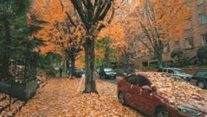 Осенняя прогулка, Портленд