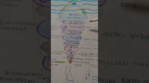 ВХОД АБСОЛЮТА В ИГРУ, ВСЕ 12 ИЗМЕРЕНИЙ