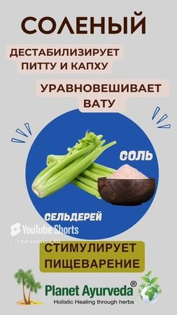 6 вкусов #аюрведа #shortsvideo #ayurveda #planetayurveda #женскоездоровье #правильноепитание #зож