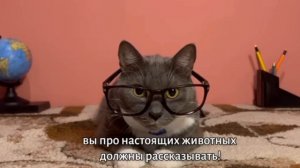 котинет 4 серия 3 сезон учительское собрание