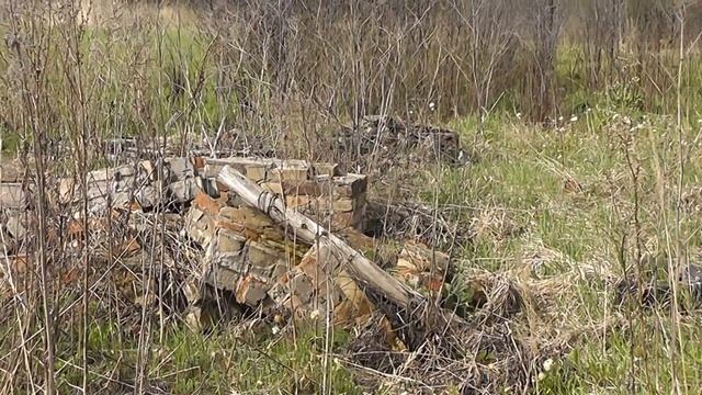 Прогулка в полях ! смотреть онлайн