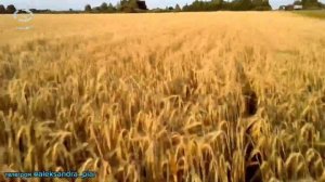 ЛУЧШИЙ ХИТ НЕДЕЛИ! НОВИНКА 2024! ПЕСНЯ УЛЁТНАЯ! ВЛАД ПОРФИРОВ