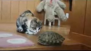 Самый смешной клип если друг не смеется