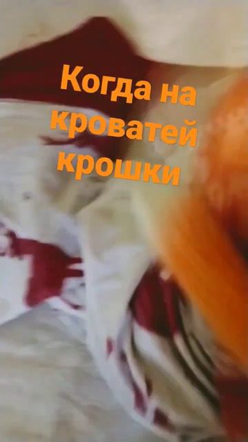 мем снова мем смотреть онлайн