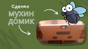 Дом для черной львинки