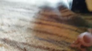 Вся боль в одном видео фиаско пародия сливки шоу [неудачные дубли 3]