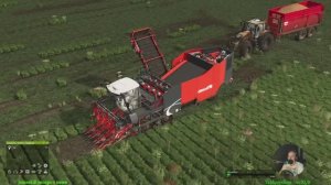 Farming Simulator 25 #14 #hard mode #контракты #сеем #пашем #пилим #чилим