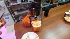 работа сокопресса bork S610