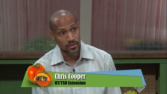 Q&A What can we do to get rid of the worms in our walnuts? смотреть онлайн