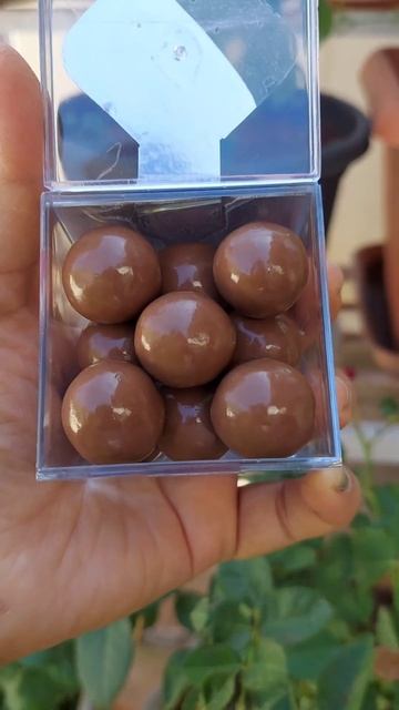 New Haldiram's Choco Divine Hazelnut Chocolate Unboxing 🍫 ll #shorts #unboxing