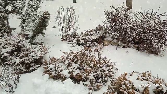 ❄️Красивая зимняя прогулка❄️Зима в парке❄️ релакс смотреть онлайн