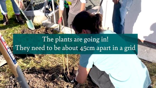 Planting for Nature - How an Aberystwyth community plants a hedge wedge for wildlife смотреть онлайн