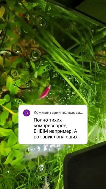 5 июня 2023 г. смотреть онлайн