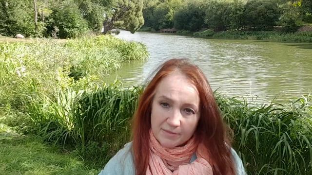 Путь саламандры смотреть онлайн