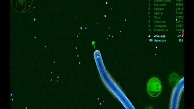 Играю в Wormax.io с Нурисламом смотреть онлайн