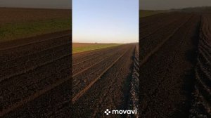 Правильная работа почвофрезы . Продолжаем испытание.