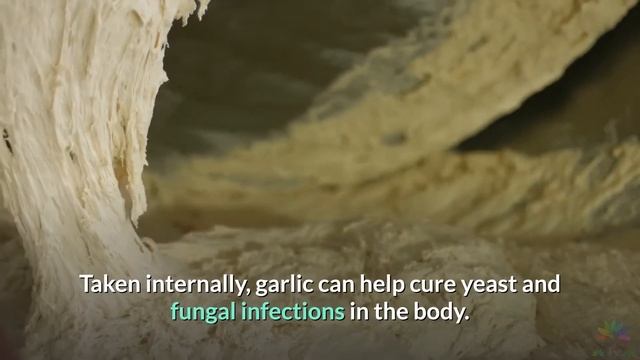 Natural Fungus Fighters | Natural Ingredients easily available to fight Fungus
