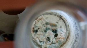 ВЫРАЩИВАЮ БИОПРЕПАРАТЫ. Проверка МИКОРАД.