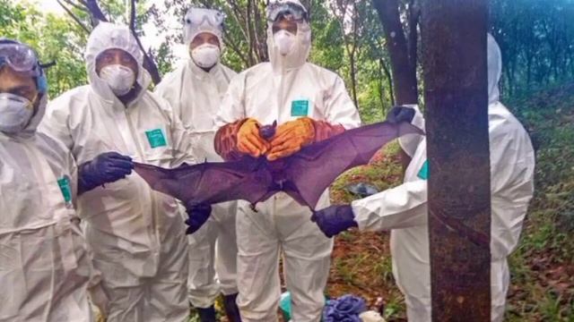 വീണ്ടും Nipah 2023