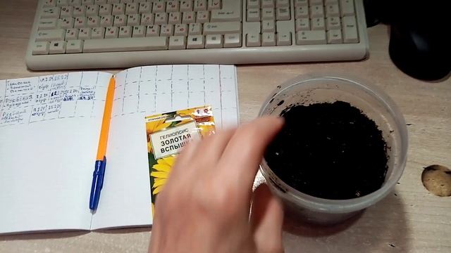 Сею на Рассаду Многолетний ЦВЕТОК сорта ГЕЛИОПСИС "ЗОЛОТАЯ ВСПЫШКА!!!! Похож на СОЛНЫШКО 26.2.24 смотреть онлайн