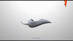 Короткая заставка "Камень" (Перец, 31.07-11.11.2015)