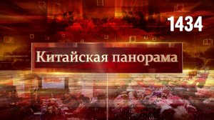 Связи с Испанией, Великобританией, Киргизией, спорт и традиции, рост  рынка, интеллект, цветы (1434)