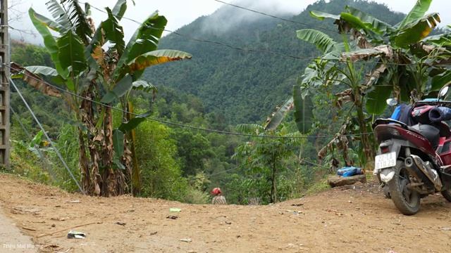"Go into the Forest to harvest Coolie Ferns to sell at the Market and make medicine.Trieu Mai Huong