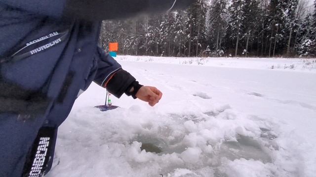 #народныйДеньВмАклино #форель #щука смотреть онлайн