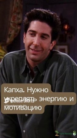 конституции аюрведы на примере главных героев