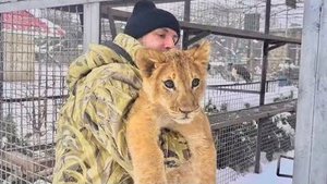 Мы с львицей Сараби идем гулять в открытый вольер, побегать по снежку, поиграть)
