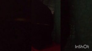 возрождение