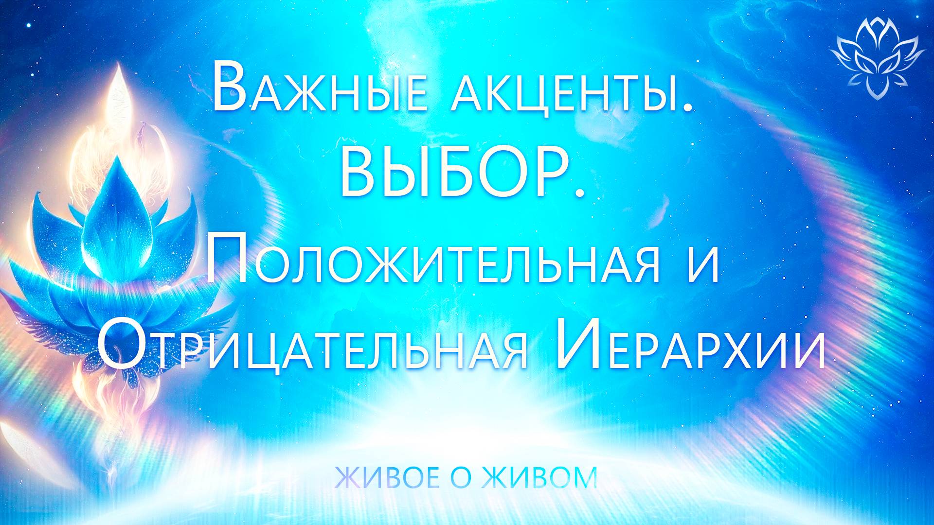 Текущие акценты. Выбор. Положительная и Отрицательная Иерархии